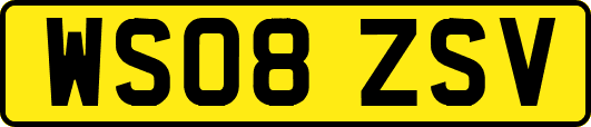 WS08ZSV