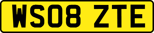 WS08ZTE