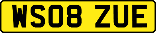 WS08ZUE