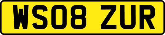 WS08ZUR