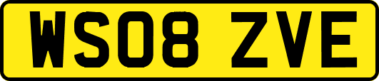 WS08ZVE