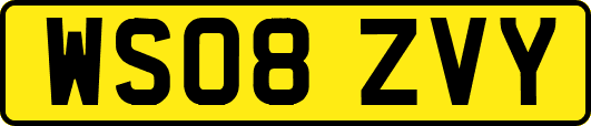 WS08ZVY