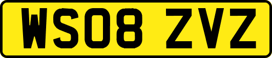 WS08ZVZ