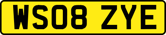WS08ZYE