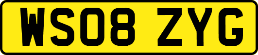 WS08ZYG
