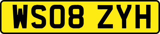 WS08ZYH
