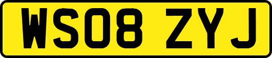 WS08ZYJ