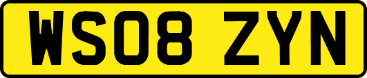 WS08ZYN