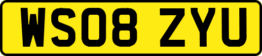 WS08ZYU