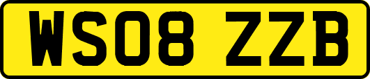 WS08ZZB