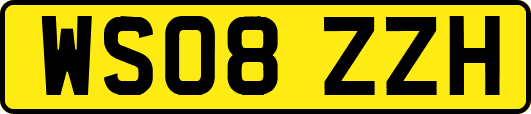 WS08ZZH