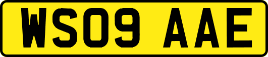 WS09AAE