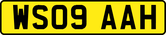 WS09AAH