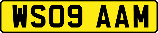 WS09AAM