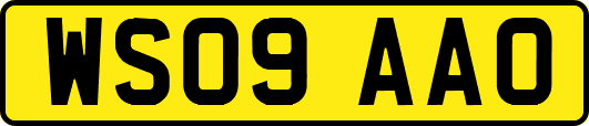 WS09AAO