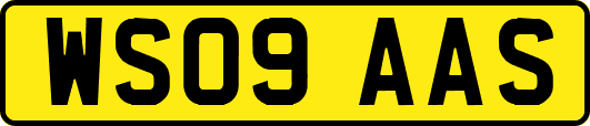 WS09AAS