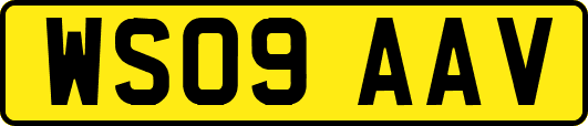 WS09AAV