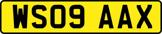 WS09AAX