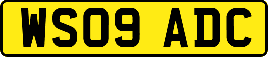 WS09ADC