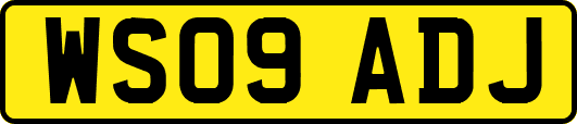WS09ADJ