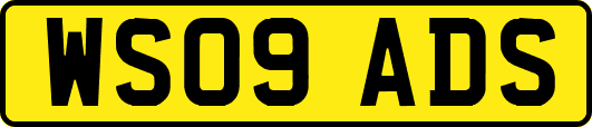 WS09ADS