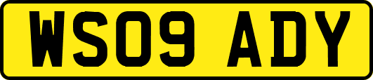 WS09ADY