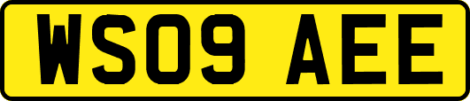 WS09AEE