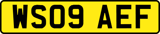 WS09AEF