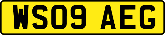 WS09AEG