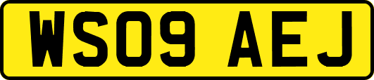 WS09AEJ