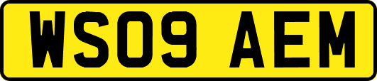 WS09AEM