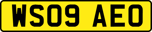 WS09AEO