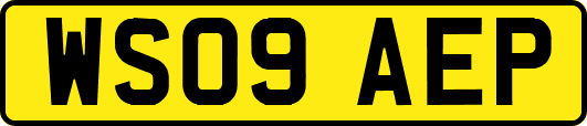 WS09AEP