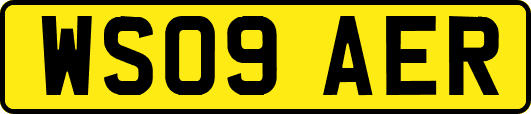 WS09AER