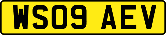 WS09AEV