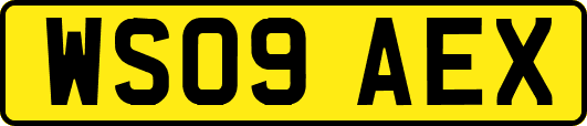 WS09AEX