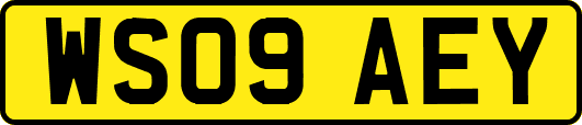 WS09AEY