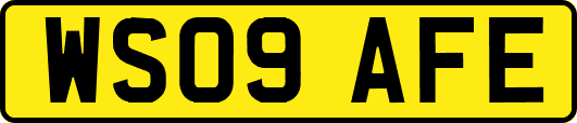 WS09AFE