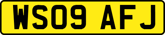 WS09AFJ