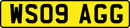 WS09AGG