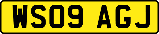 WS09AGJ