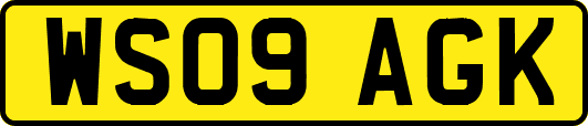 WS09AGK
