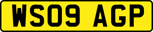 WS09AGP