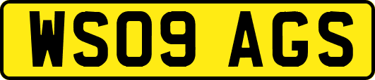 WS09AGS