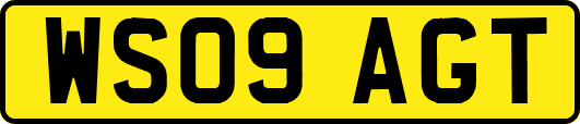 WS09AGT