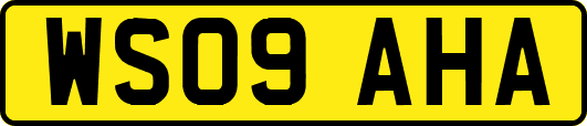 WS09AHA