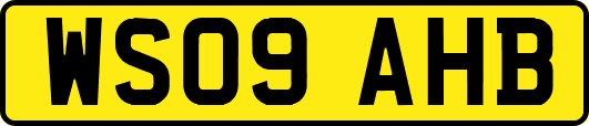 WS09AHB