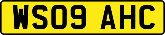 WS09AHC