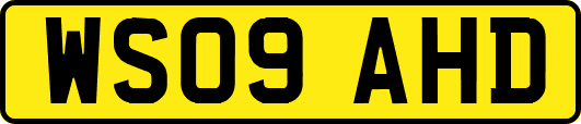 WS09AHD