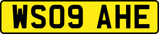 WS09AHE